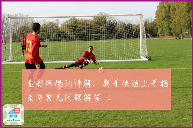 竞彩网规则详解：新手快速上手指南与常见问题解答_1