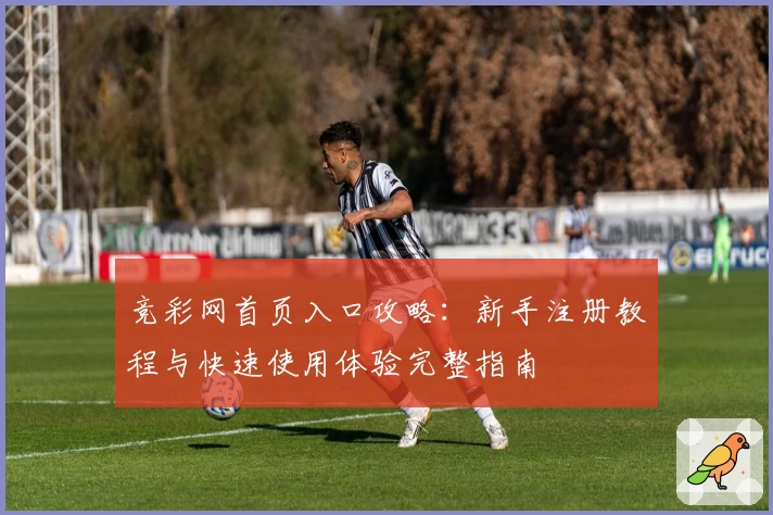 竞彩网首页入口攻略：新手注册教程与快速使用体验完整指南
