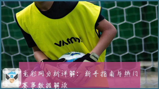 竞彩网分析详解：新手指南与热门赛事数据解读